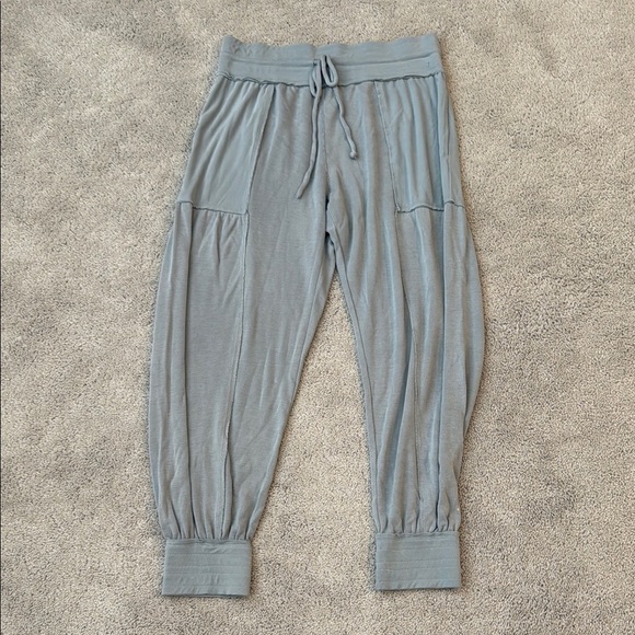Free People Movement Aries Jogger | Relaxed Fit | Size Medium | Color Grey - Picture 2 of 13